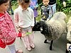 Mein bewegter Sommer im SJZ Lychi Mein bewegter Sommer im SJZ Lychi